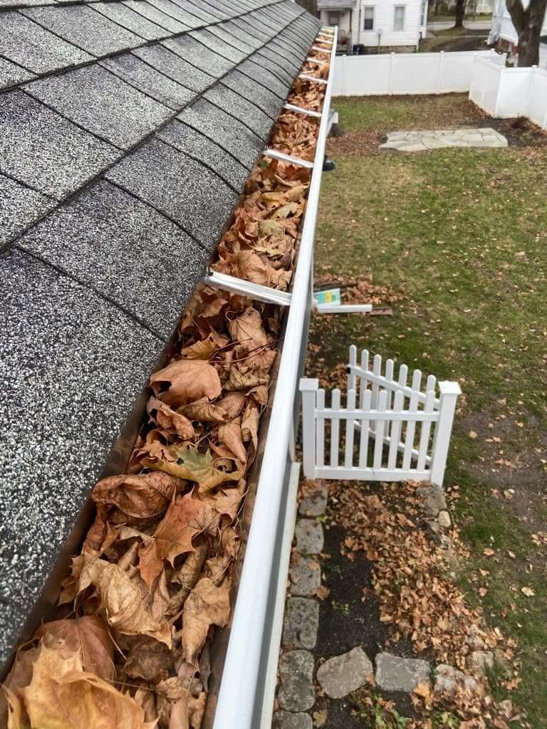 Gutter filled with leaves before cleaning