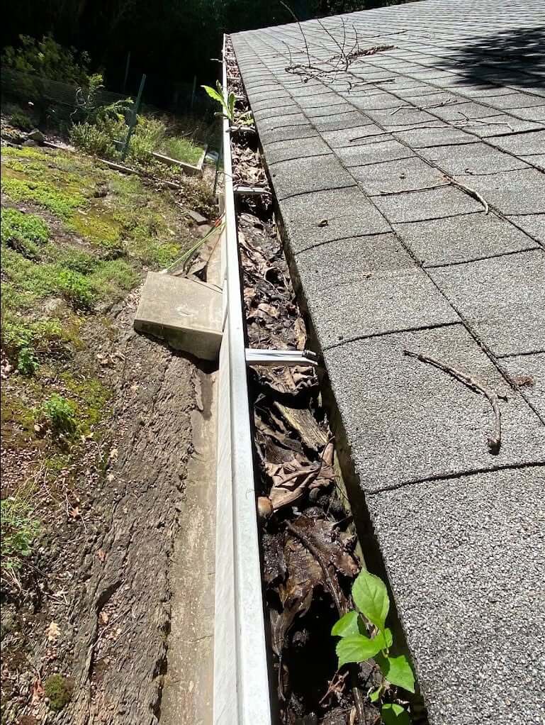 Roof edge gutter debris before cleaning
